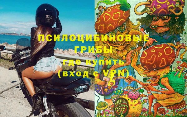 спиды Балахна