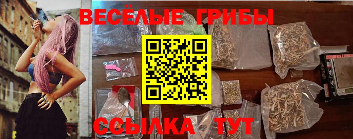 Армавир  купить наркотик  Вход с VPN  Галлюциногенные грибы мицелий 