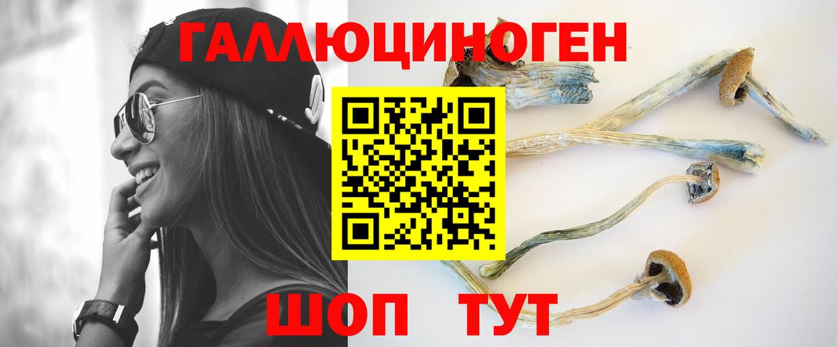 Галлюциногенные грибы мухоморы Армавир